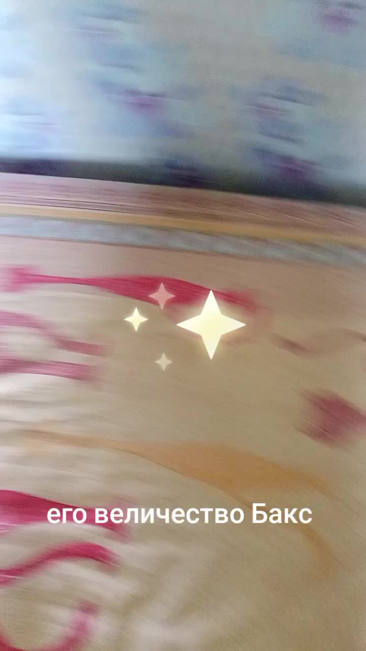 @св,.,с,....
