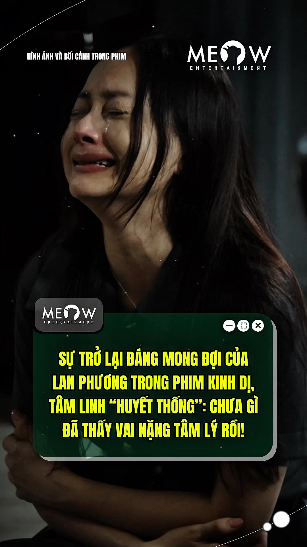 @MEOW ENTERTAINMENT
