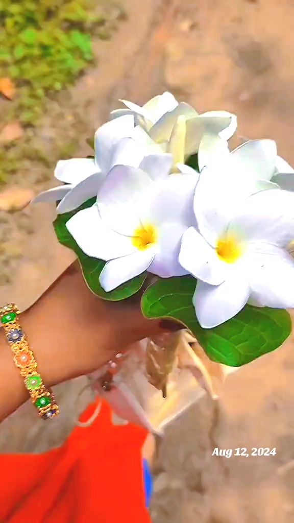 @🕊️