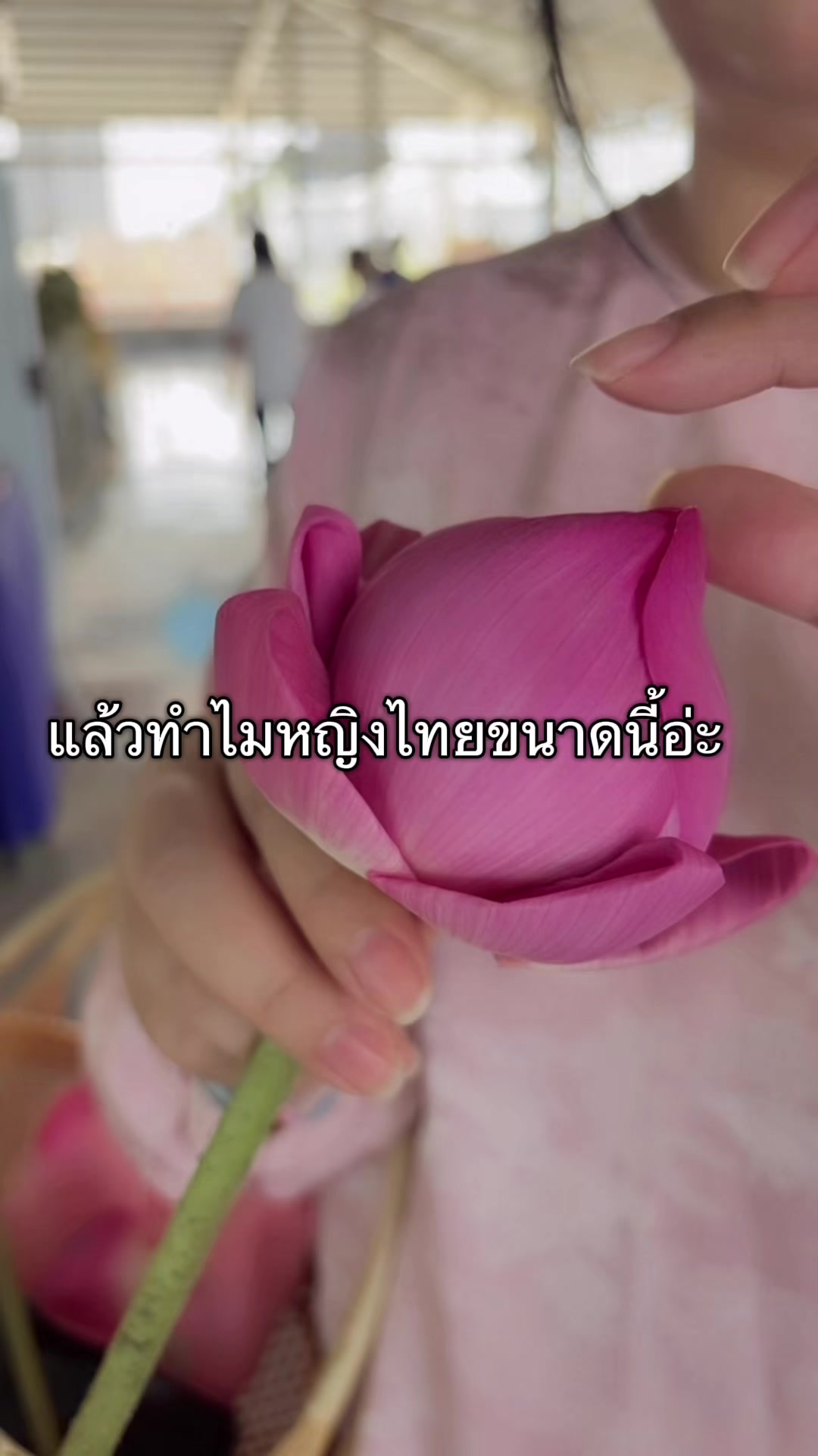 @ปุ๊ว่าอันนี้ดี💆🏻♀️💄🍰🌱