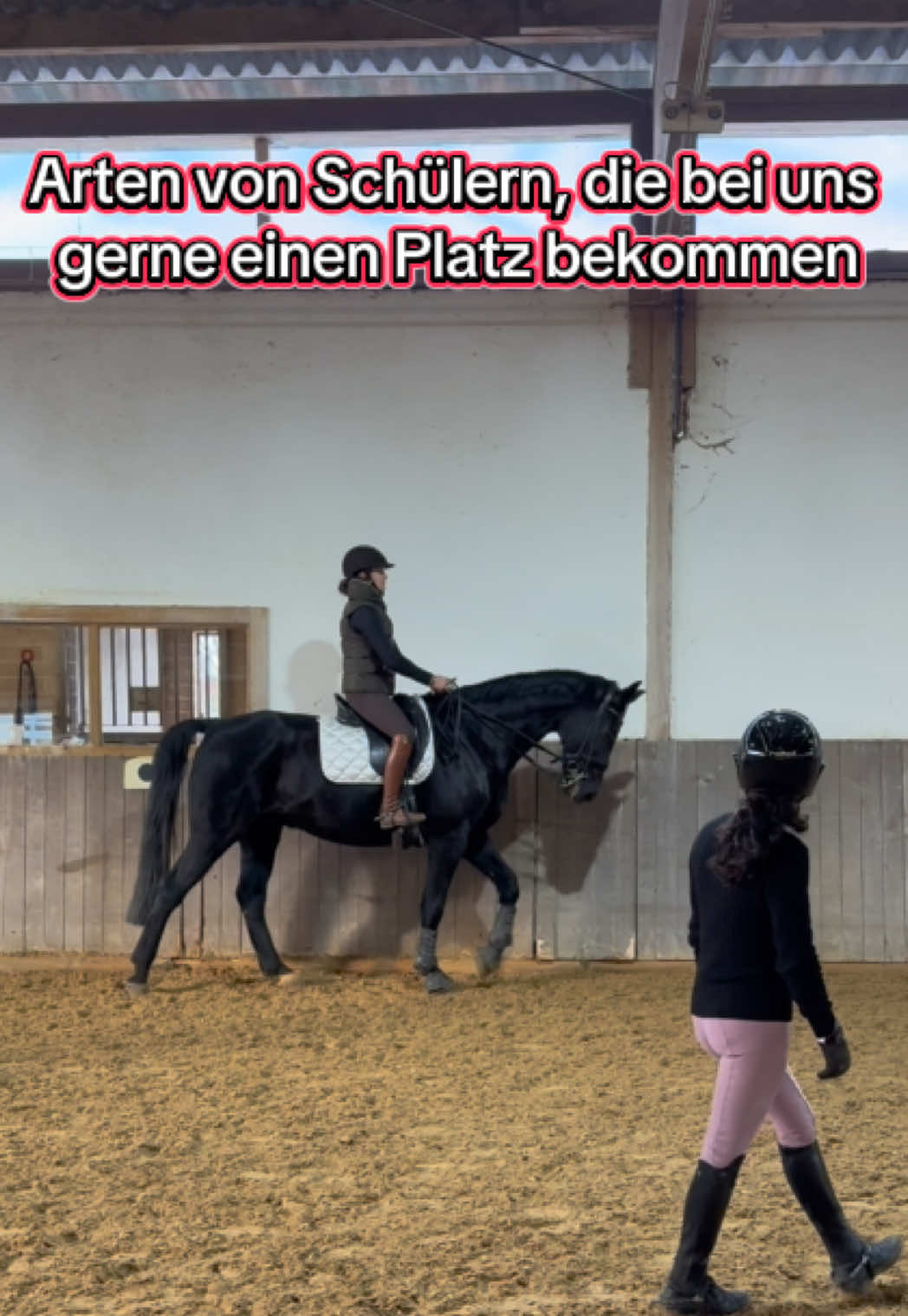 @Sophia • SL Reitschule