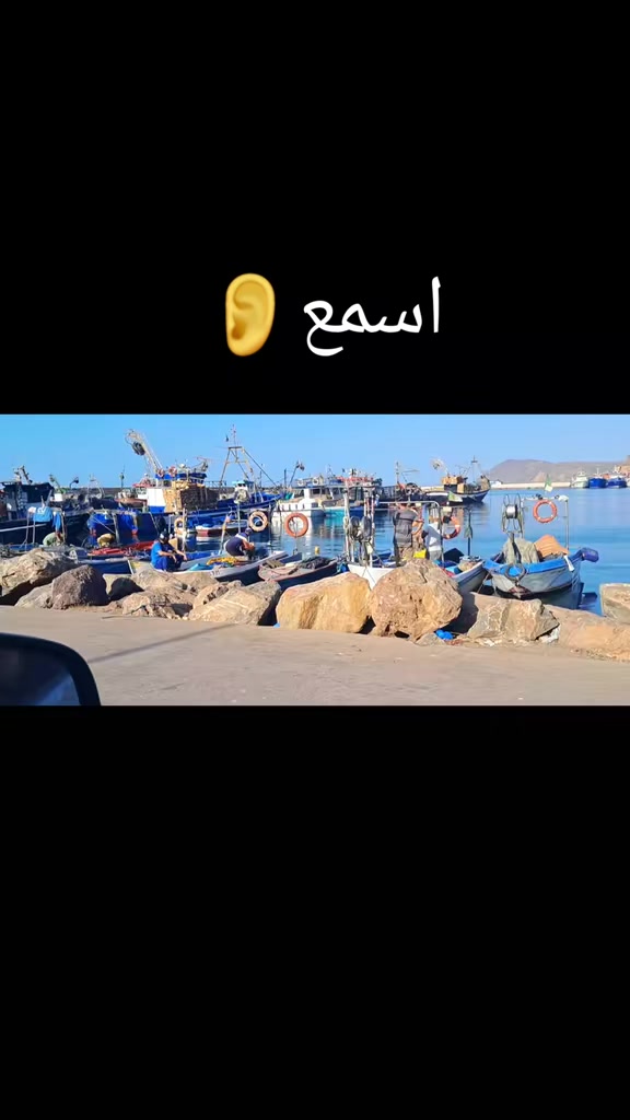 @Lina🐬13