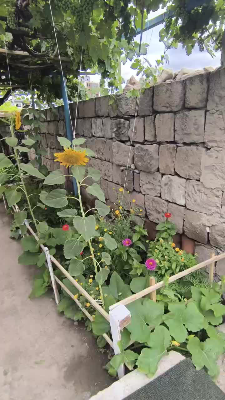 @AVŞAR KIZI 🐈🐈🐈🐈❤