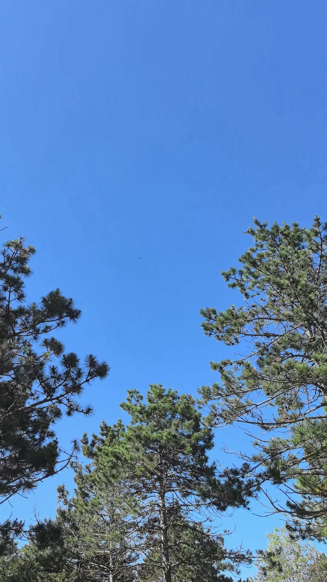 @𝐋𝐈𝐏𝐖𝐈𝐗