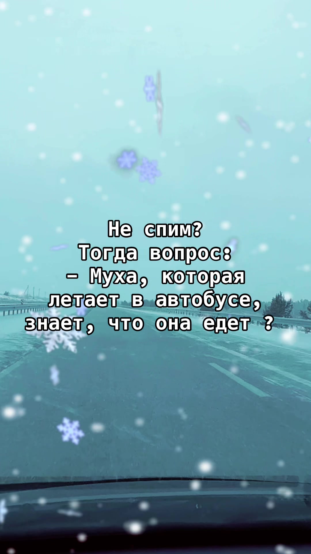 @🦊 Marina
