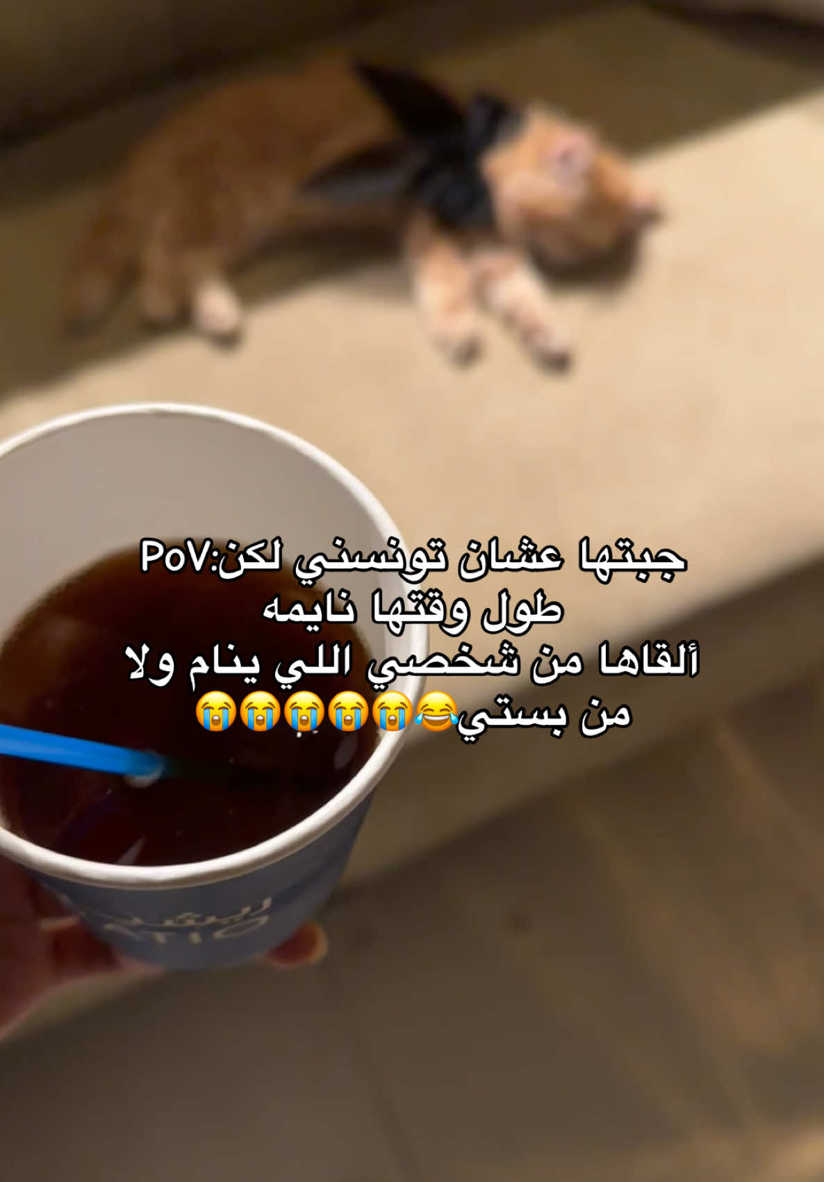 @بلوقر جده | أفراح 🐆