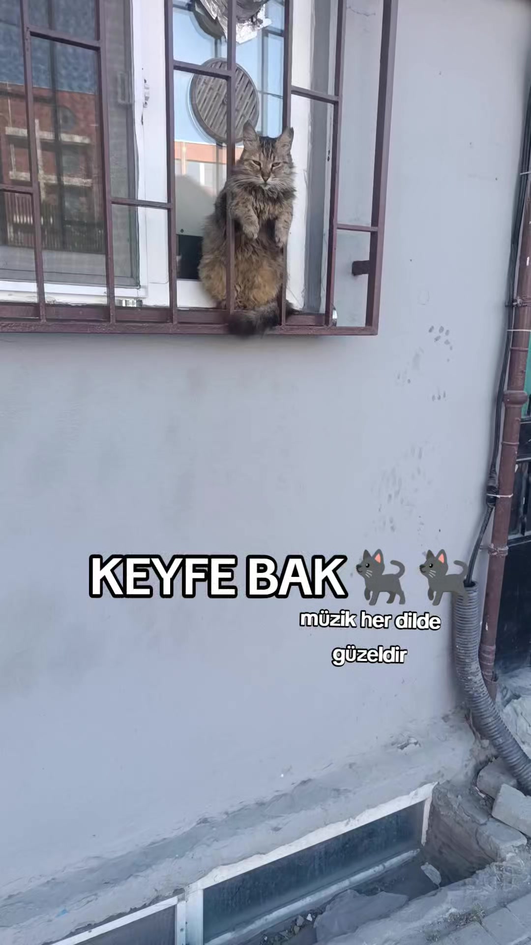 @müzik her dilde güzeldir
