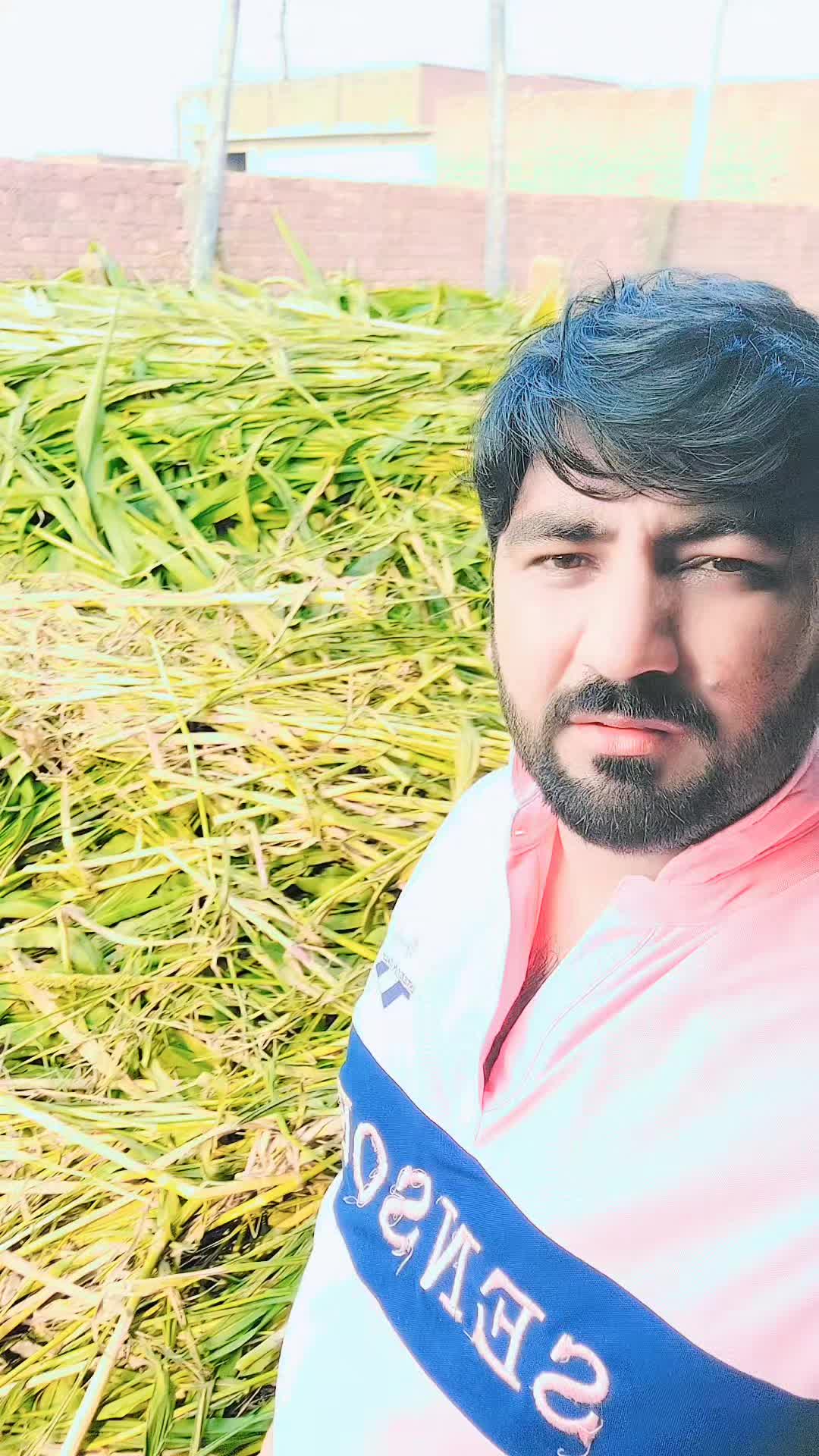 @⭐🇨𝐡𝐚𝐦𝐩𝐢𝐨n❤🍁