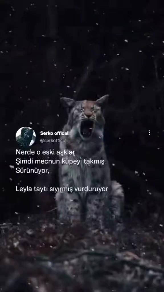 @Serkoficall