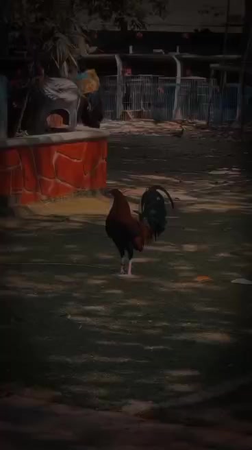 @๐ฒ๐ฝ๐ฐ๐๐๐๐๐๐๐ง๐ฅ๐