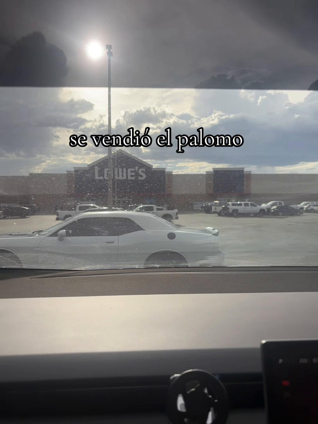 @Araceli Mireles 💙