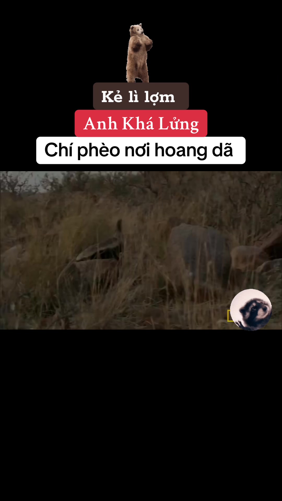 @THẾ GIỚI ĐỘNG VẬT 💧