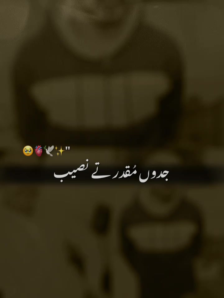 @Faisal Ali