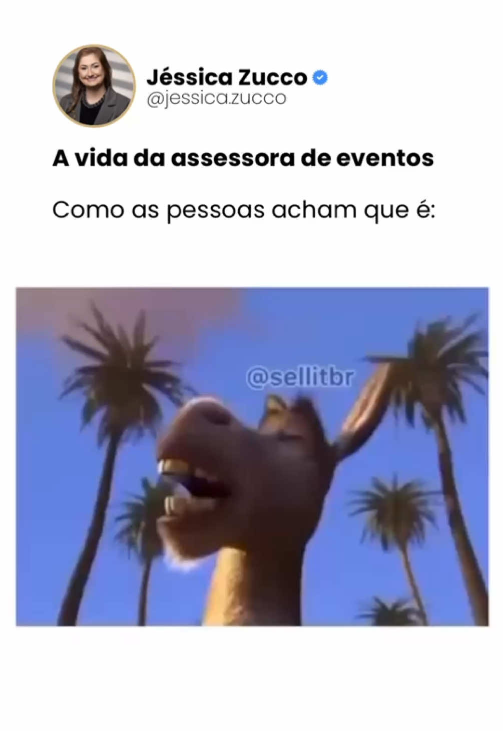 @J&eacute;ssica Zucco