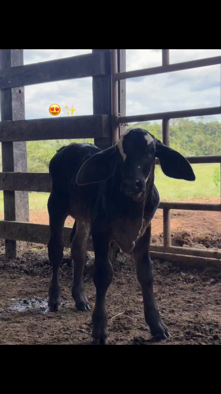 @Didier_🤠
