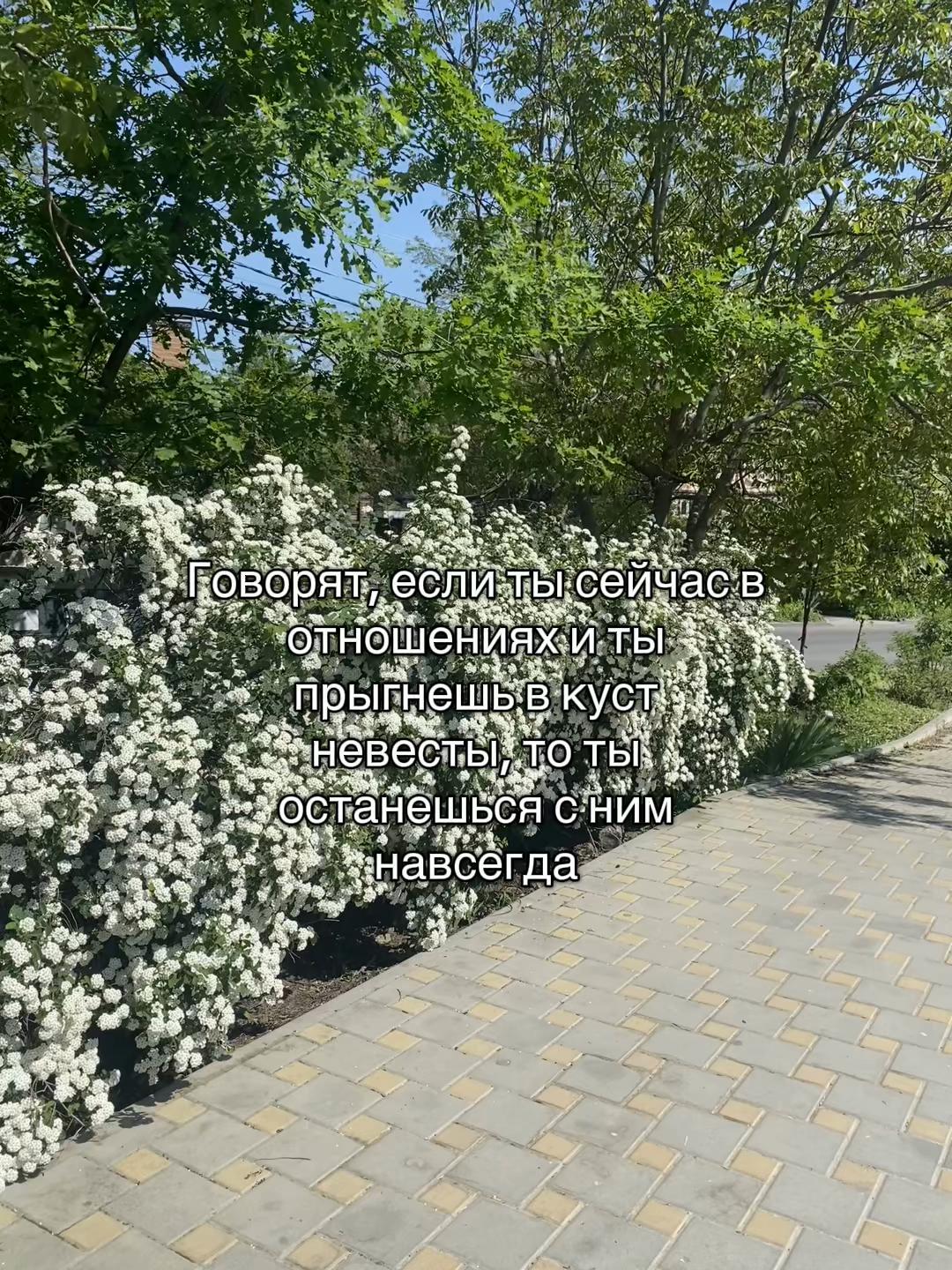 @𝓇𝒾𝓃𝓍🪽