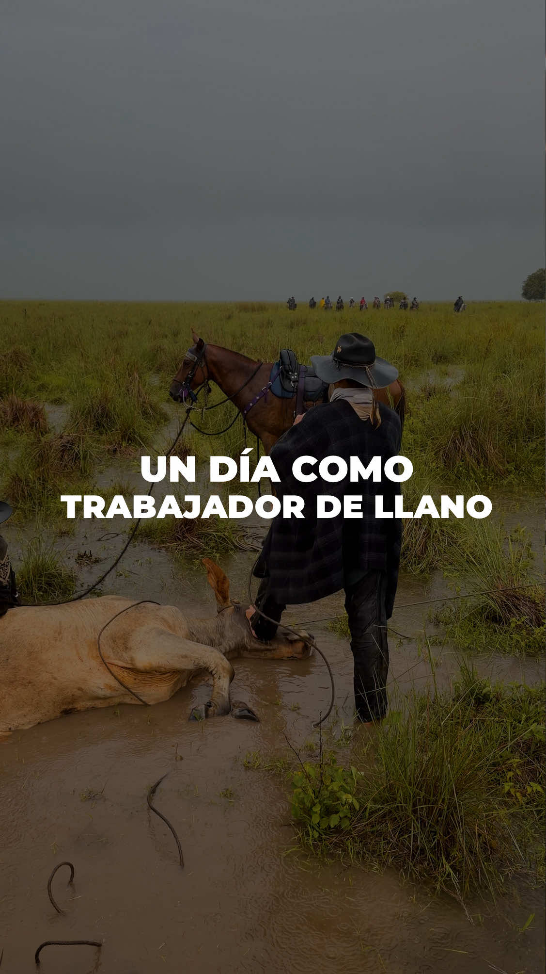 @Alexis Puerta