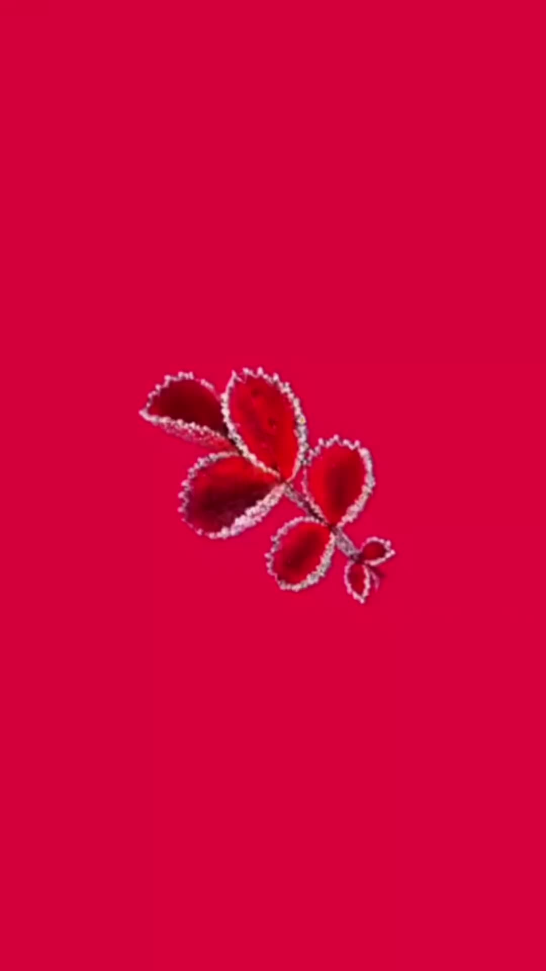 @ОМОН_8