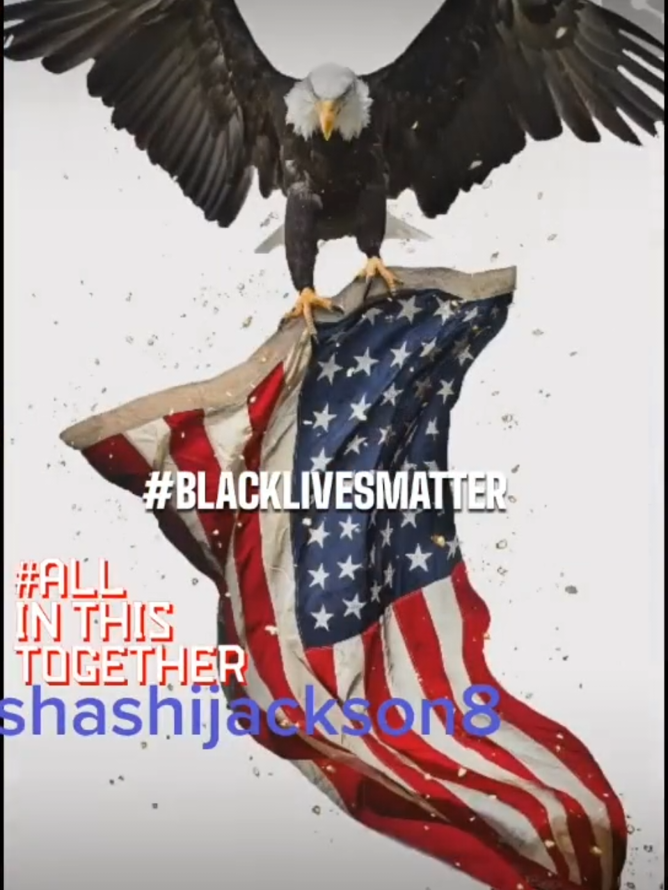 @🇺🇸 SHASHI🎙️JACKSONZ 🇺🇲