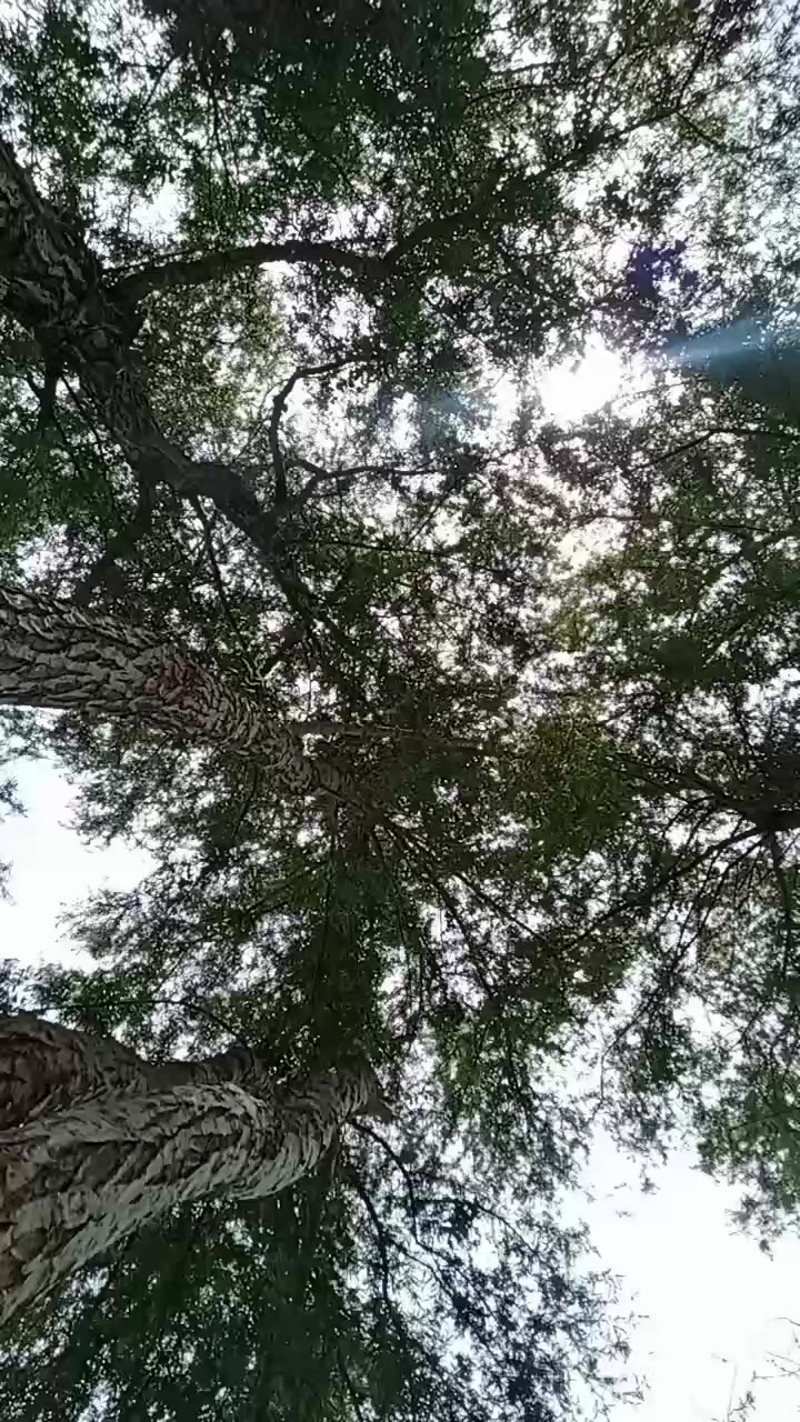 @Cindy Quech&eacute;