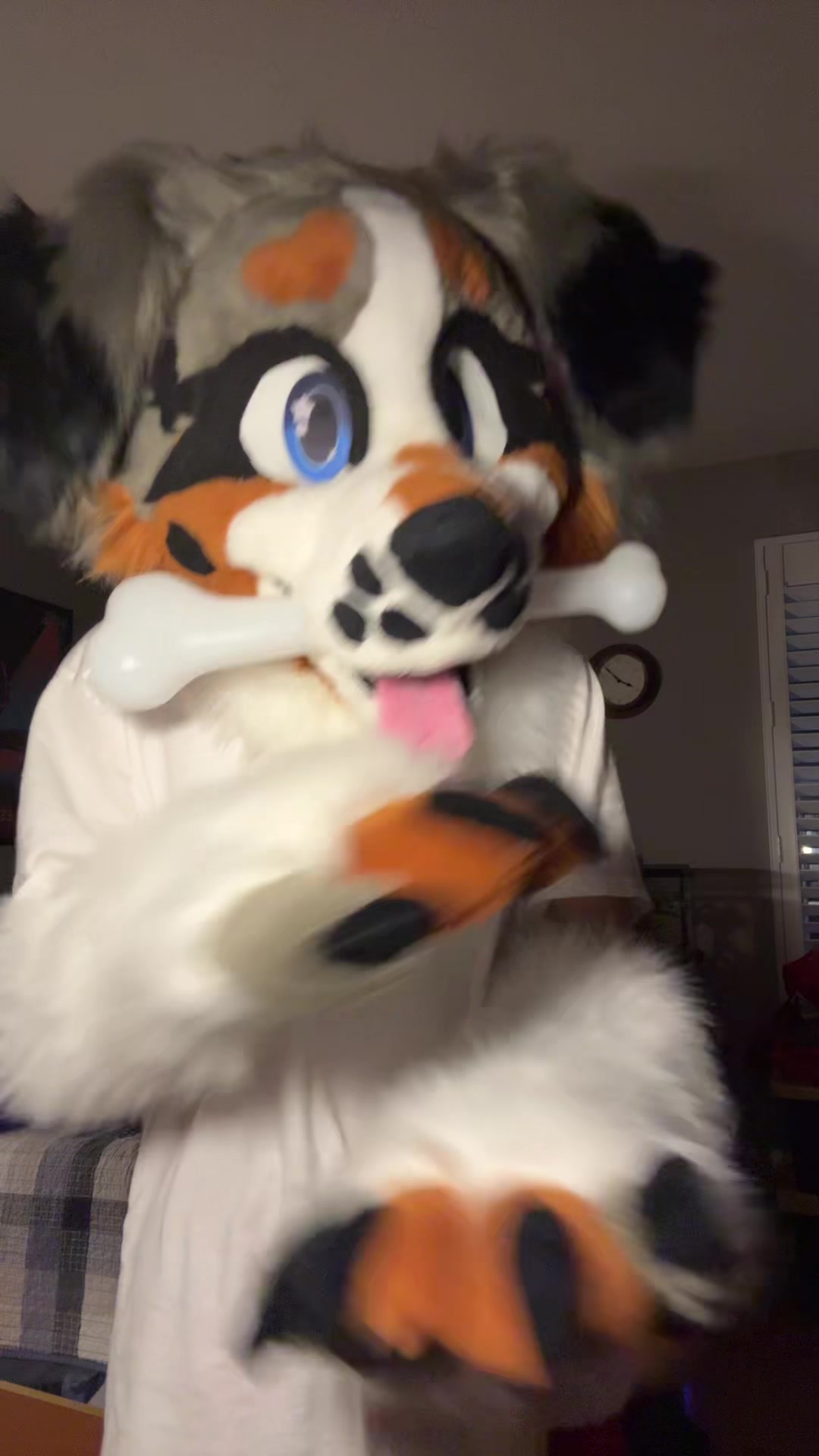 @Fl00fPawz✝️🐾