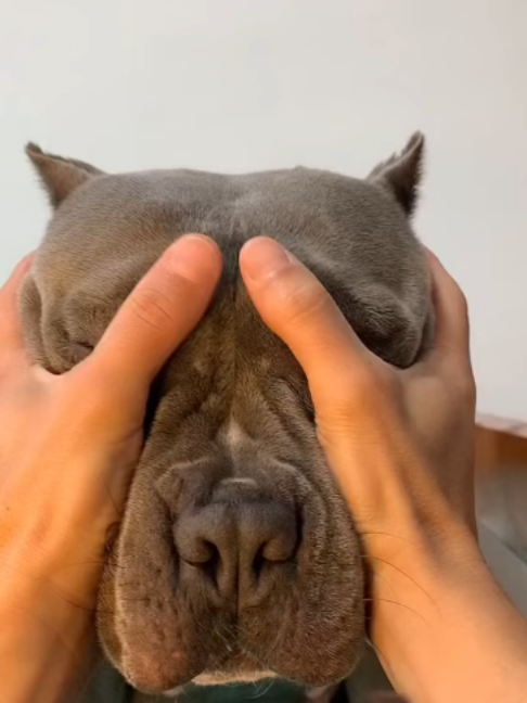 @uxifnfsiyyn