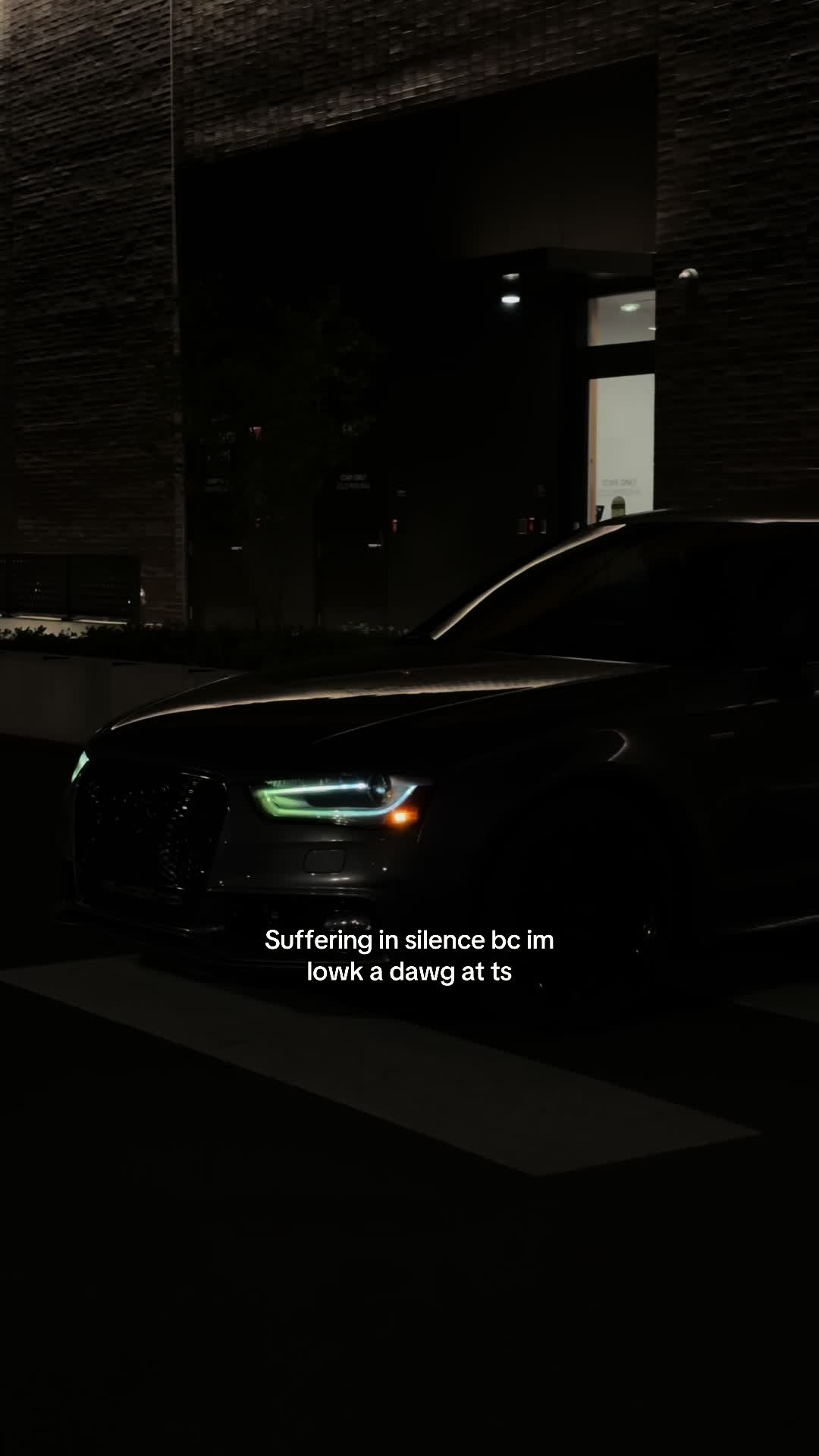 @♛ 𝔚𝔥𝔦𝔱𝔢 𝔏𝔦𝔬𝔫 ♛