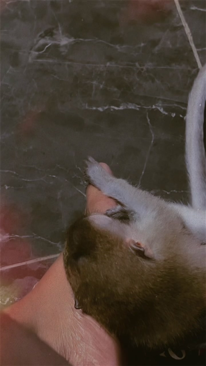 @||•THURGA•||🤍🍃