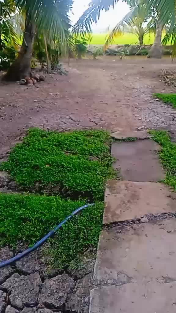 @Nguyễn Văn Hiền