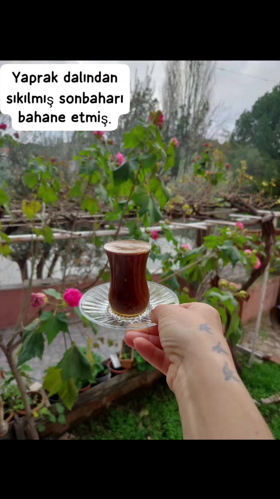 @Filiz Ates485