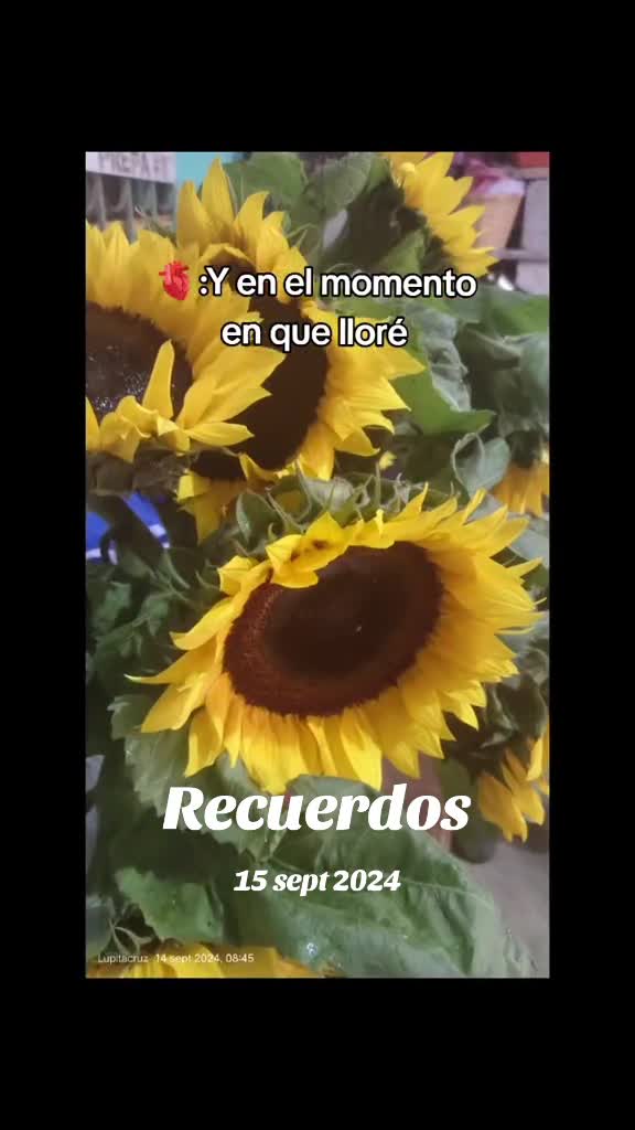@MIRIAM🦋🦋