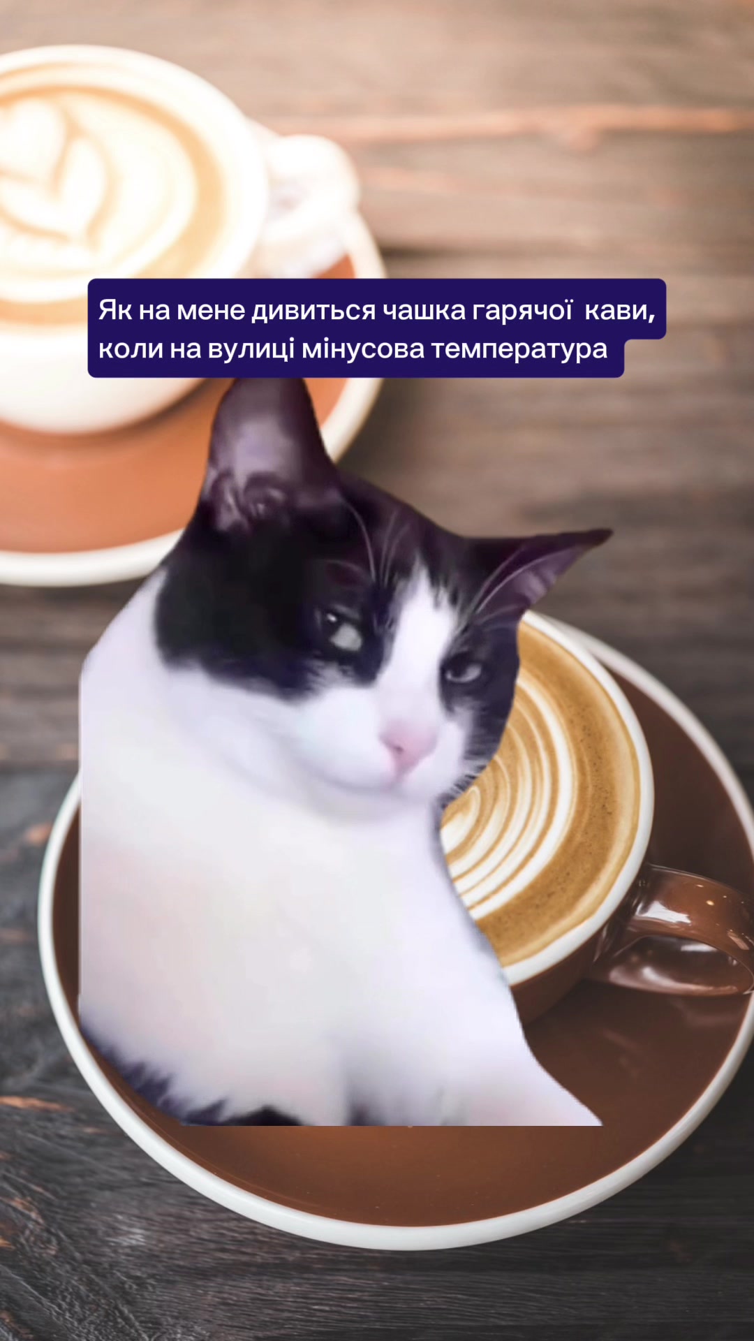 @JetCup ☕