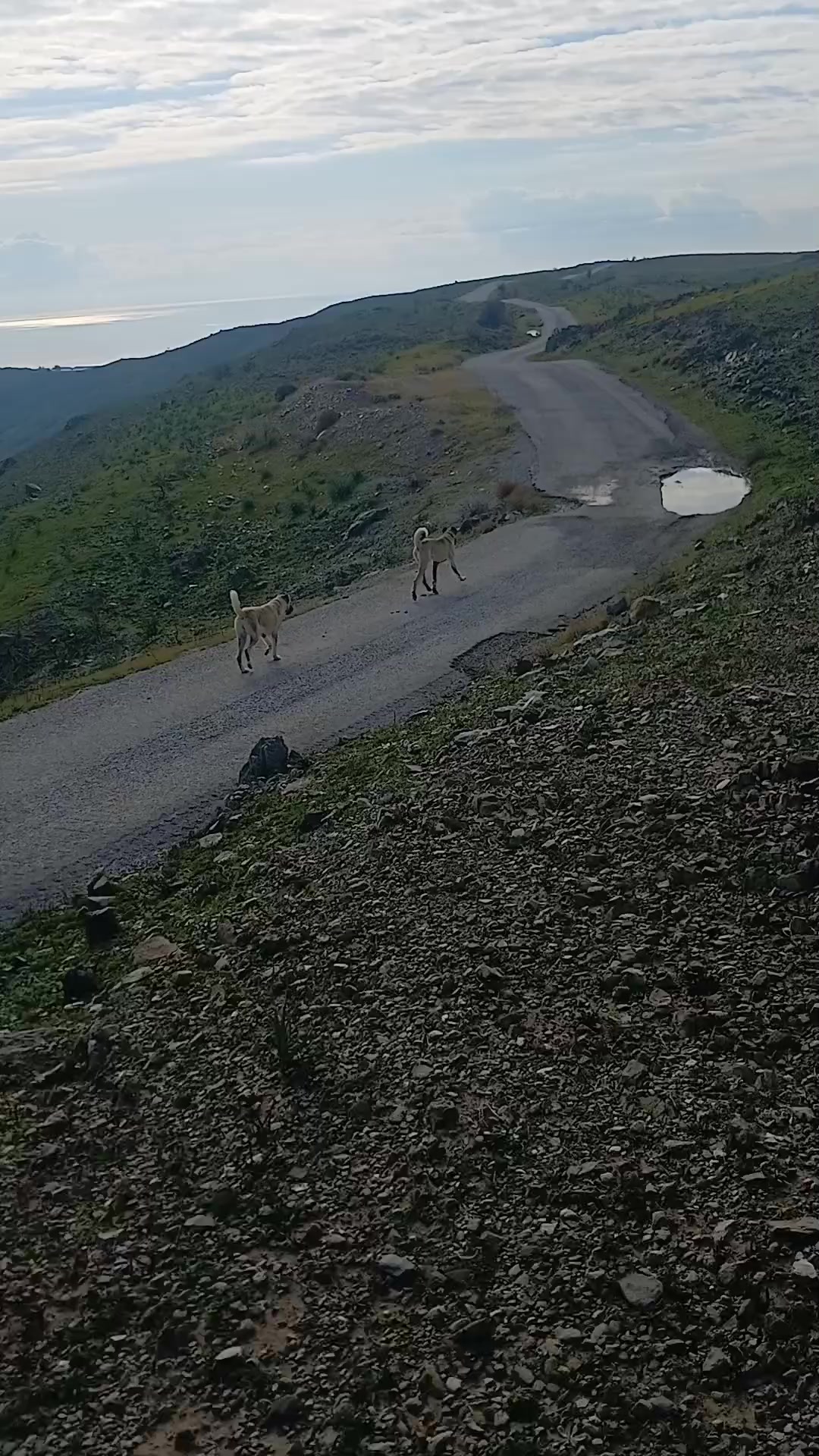 @AHMET ŞENTÜRK