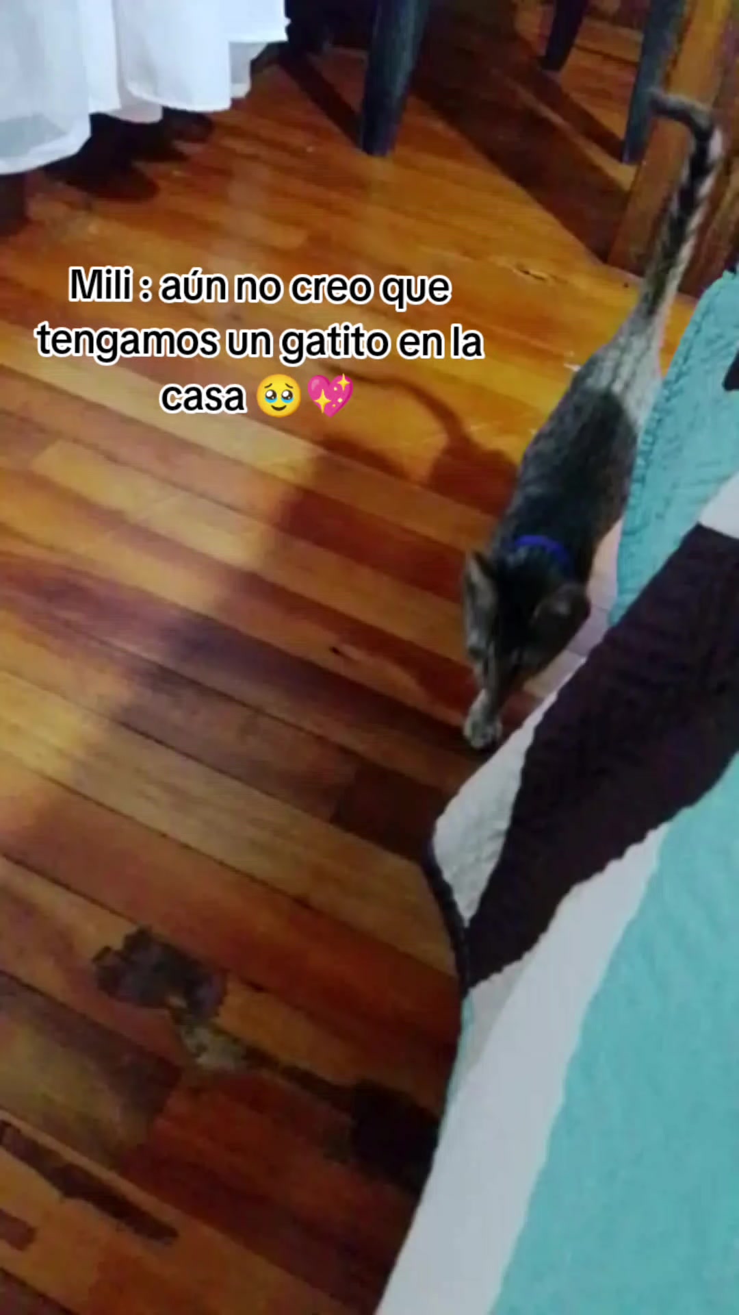 @yessi-negrita