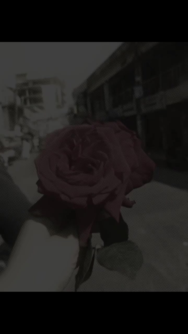 @Nodia🌷