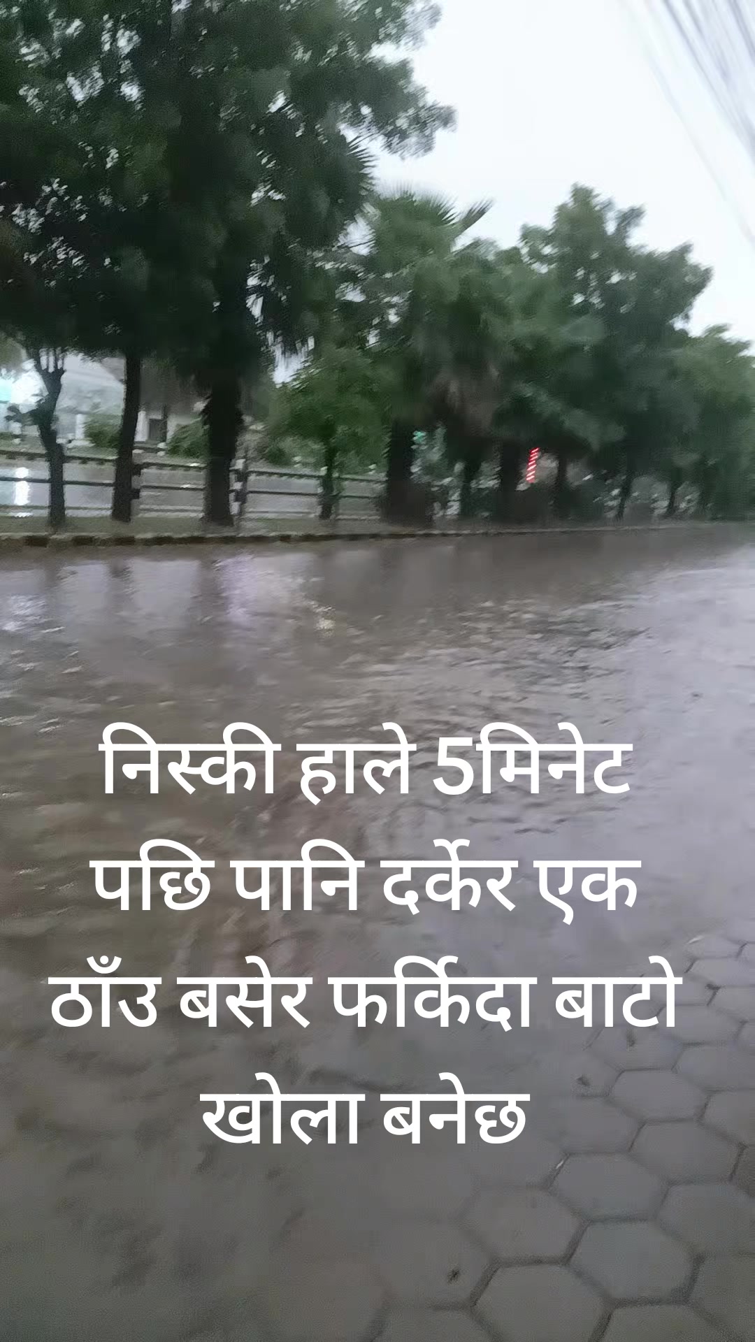 @bhumi_rana03