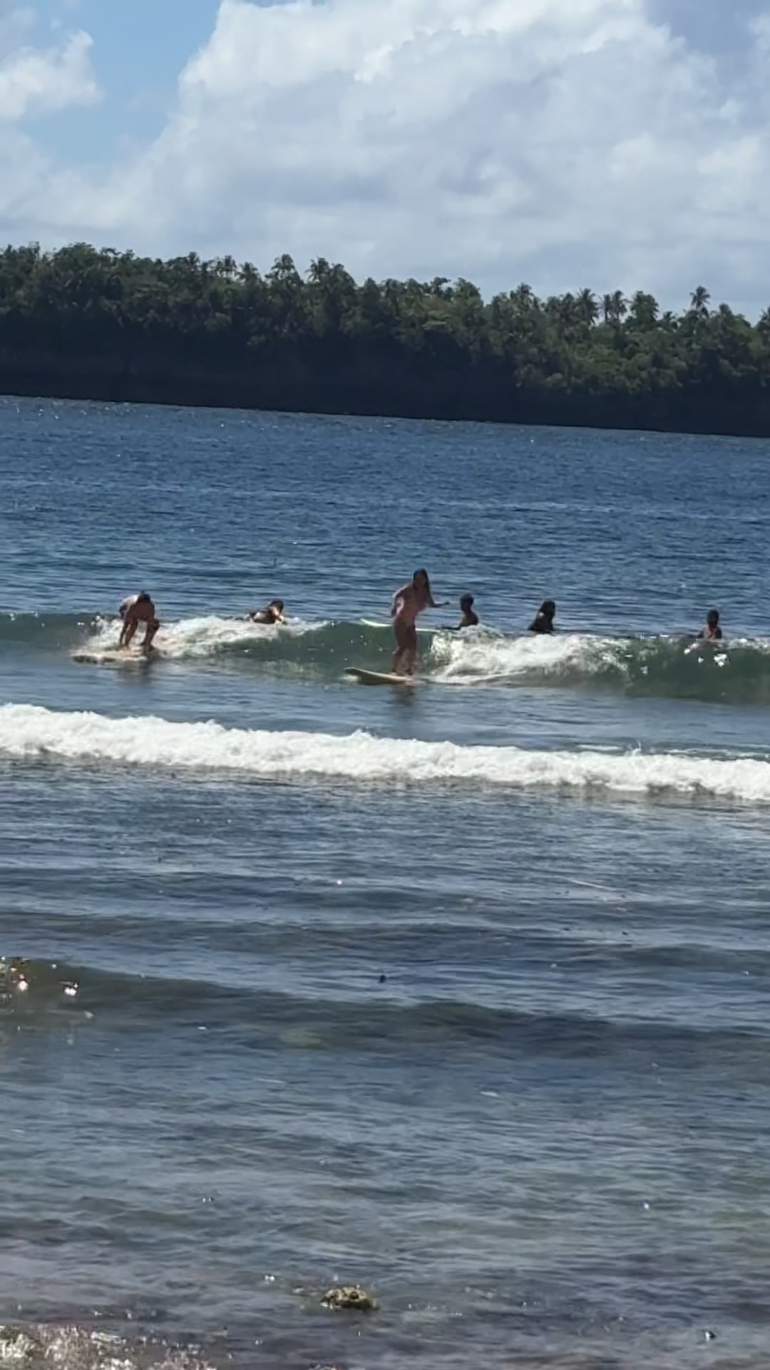 @🌴🥥🌺