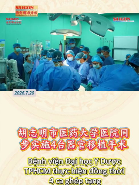 @西贡解放日报-Báo SGGP bản Hoa văn