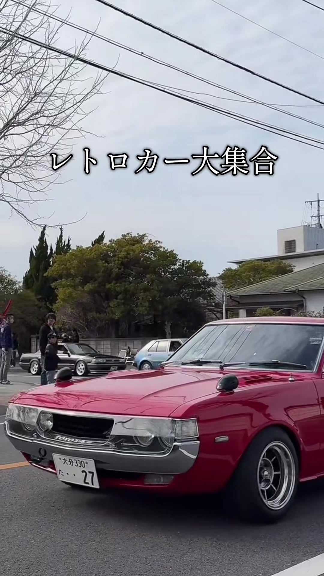 @まこやん✅(公式)