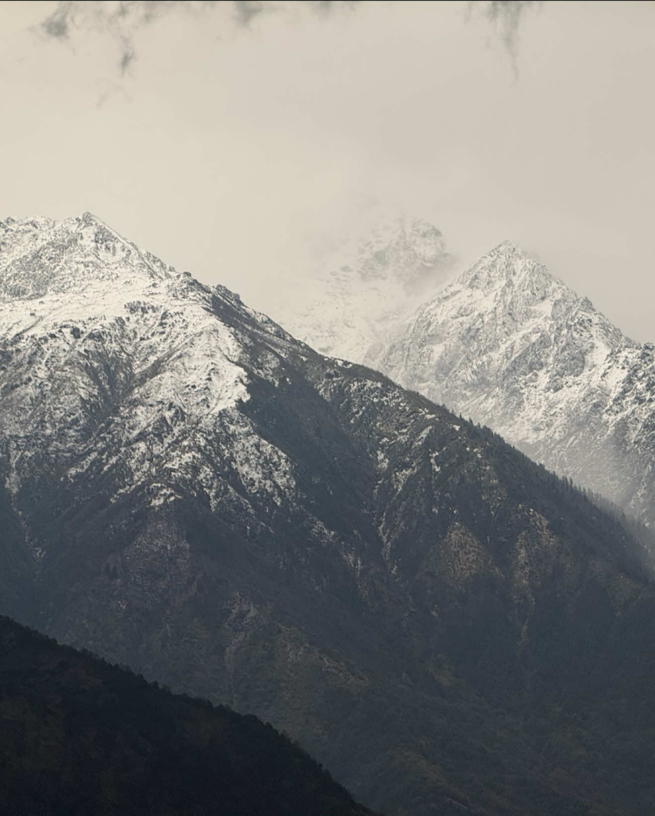 @ऋतु बोहरा