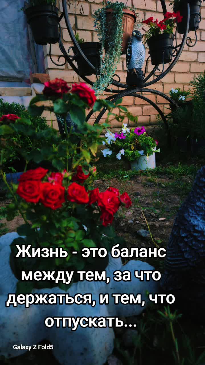 @✨Anastasia ✨