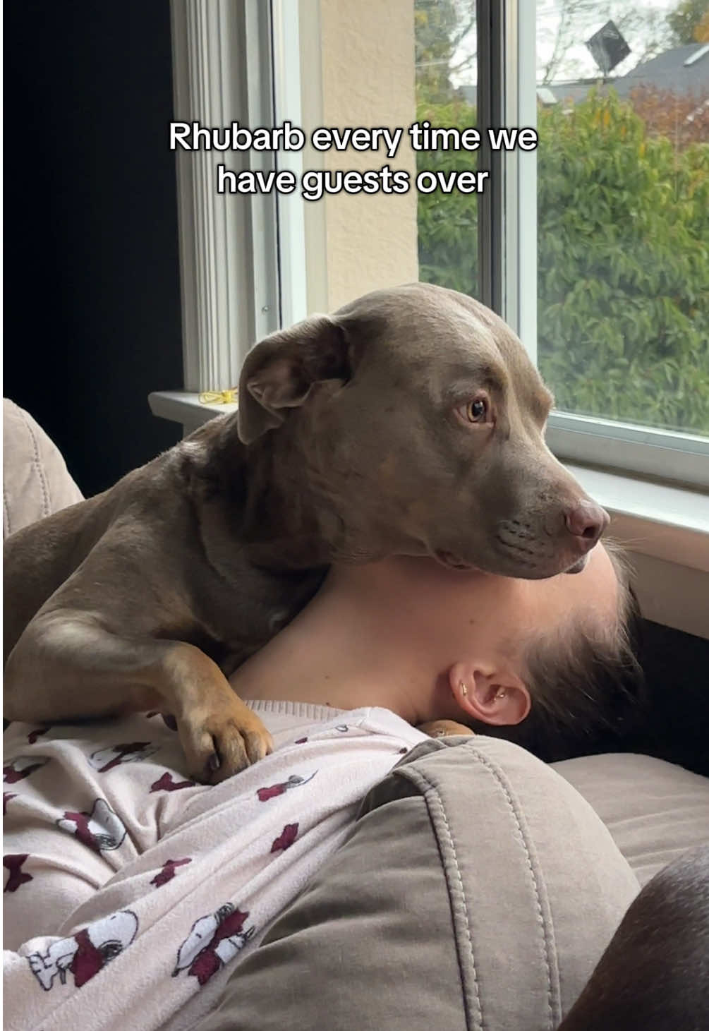 @rhubarb the doggo