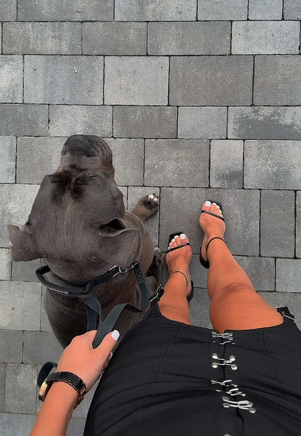 @Tanya | Luna Corso 🐾
