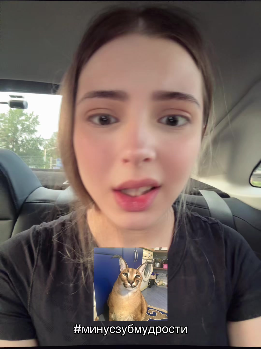 @ева ким