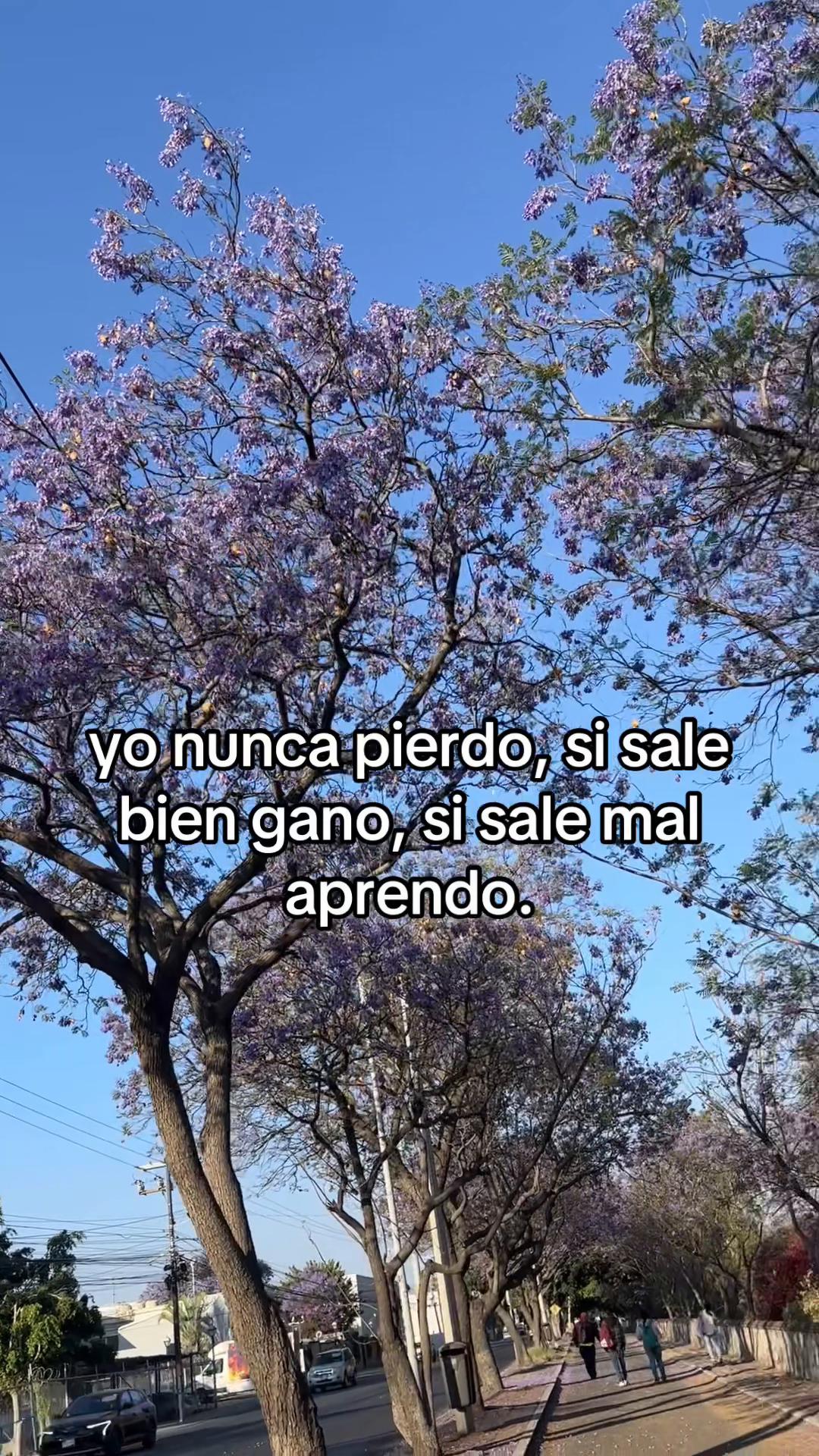 @Cmpss🎀