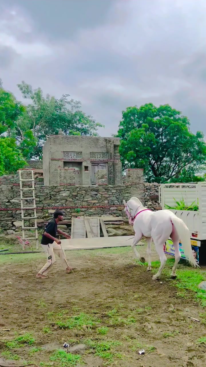 @@𝙂𝙍 𝙃𝙤𝙧𝙨𝙚 𝙁𝙖𝙧𝙢 🐴