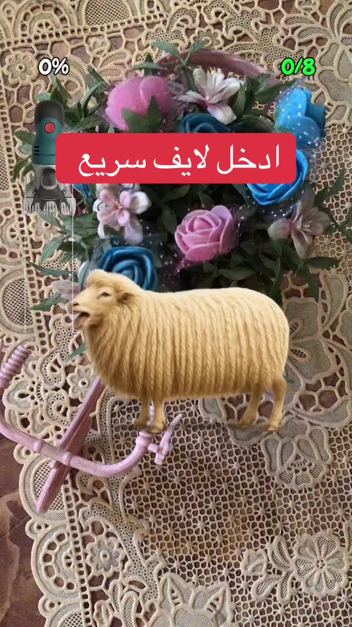 @noeral88