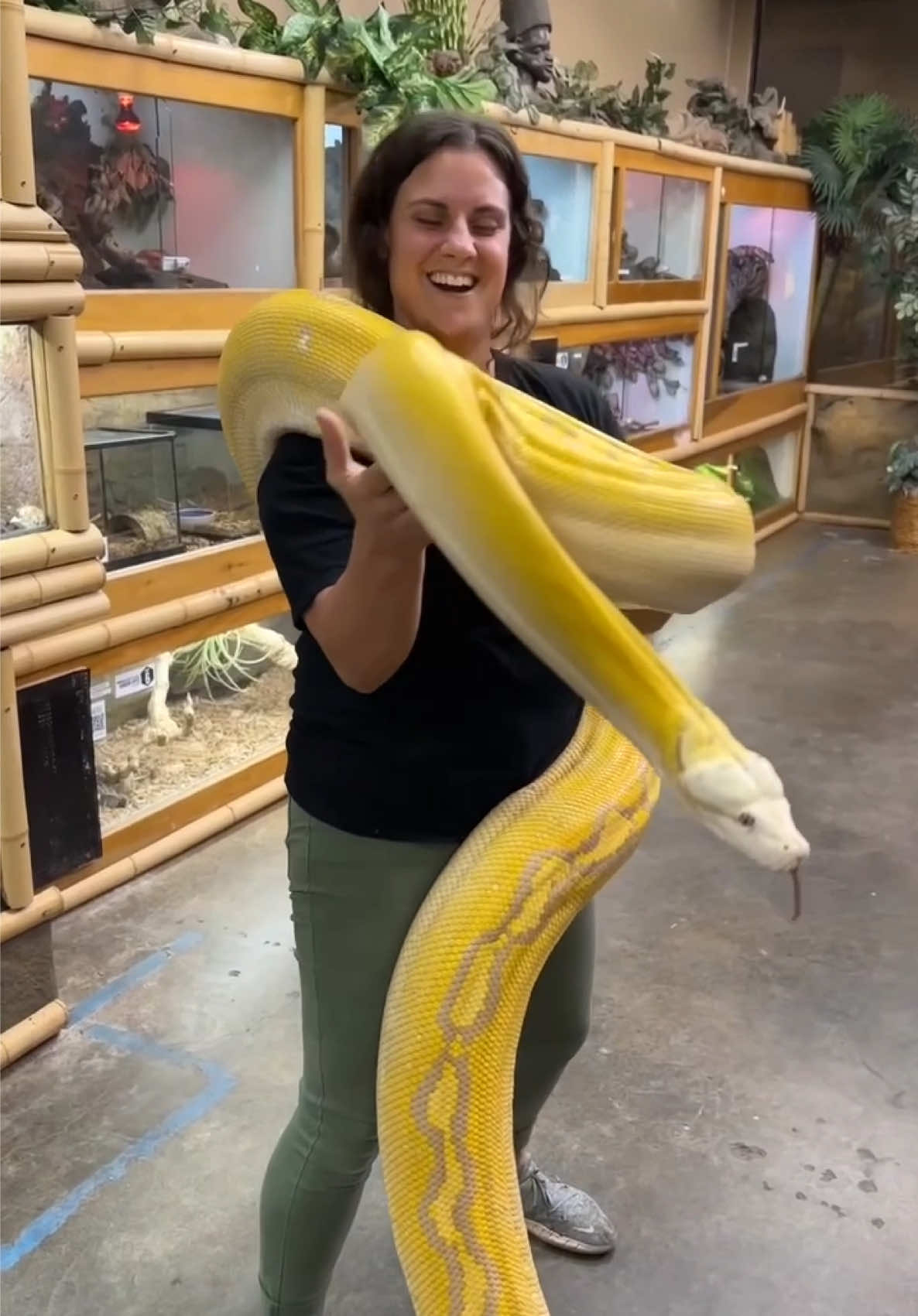 @The Reptile Zoo