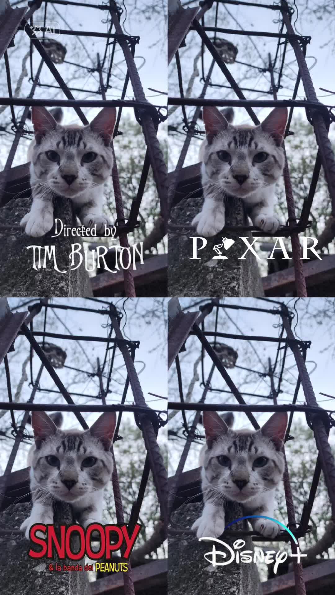 @๐๐ฌ๐๐ฅ๐ฒ๐ฑ ๐ฆ๐จ๐ซ๐๐ฅ๐๐ฌ๐