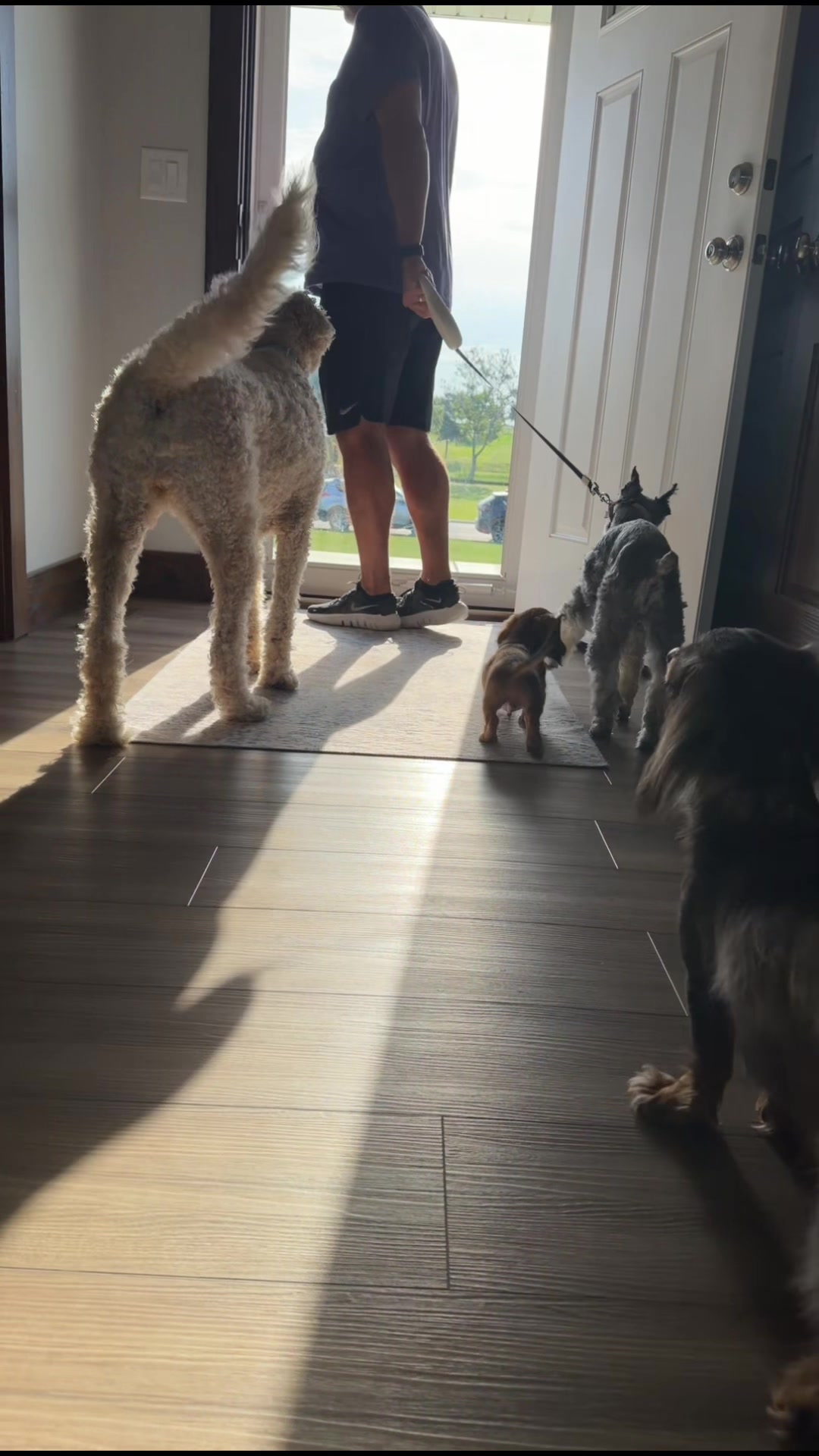 @House of Glizzy: Gus & Reino🐾